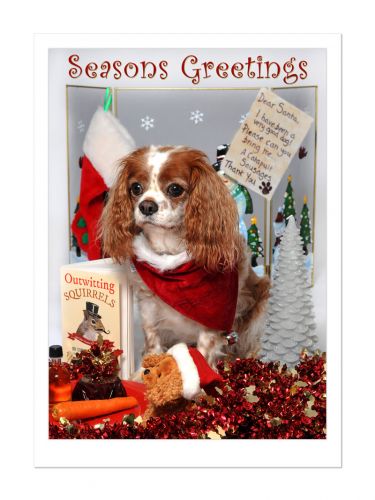 Christmas Cheeky Charlie Card