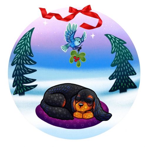 Cavalier and the Xmas Bird