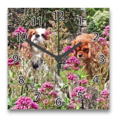 The Garden Girls Clock