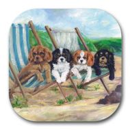 Beach Boys Coaster