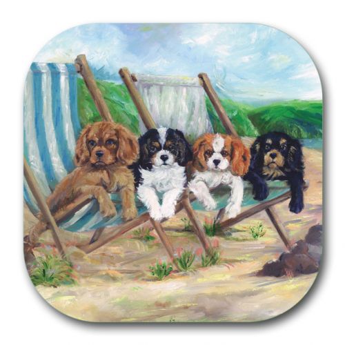 Beach Boys Coaster
