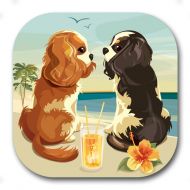 Cavalier Canoodles Coaster