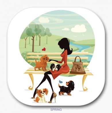 Four Seasons Coaster