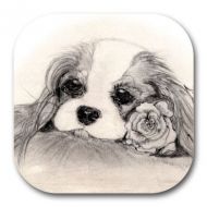 Blenheim Rose Coaster