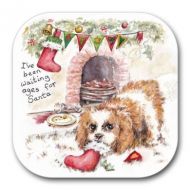 Waiting for Ages Coaster