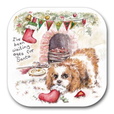 Waiting for Ages Coaster