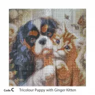 Cavaliers Diamond Painting Kits