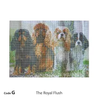 Cavaliers Diamond Painting Kits