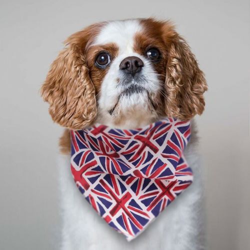 Union Jack Dog Bandana