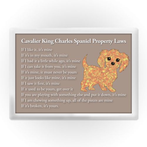 Property Laws Magnet