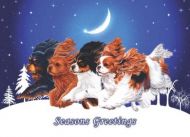 A Christmas Night Flight A5 Single Card