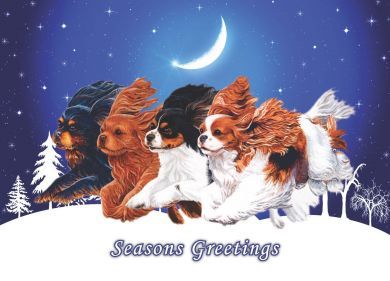 A Christmas Night Flight A5 Single Card