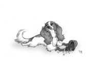 Helping in the Garden Blank Greetings Card