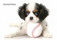 Baseball Babe Blank Notelet Cards