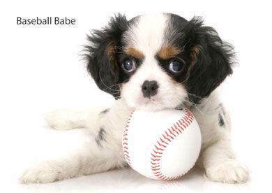 Baseball Babe Blank Notelet Cards