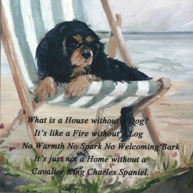 Deckchair Cavaliers - B&T, Blenheim and Ruby