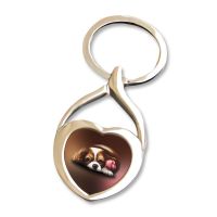 Rose Collection Heart Keyring