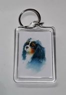 Painting Style Keyrings in Blenheim and Tricolour