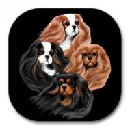 Bohemian Beauties 100mm Coasters