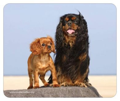 On the Rock Mouse Mat