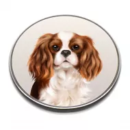 Cavaliers Phone Charger