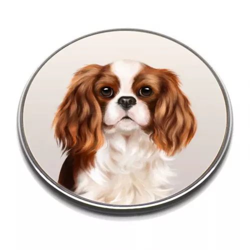 Cavaliers Phone Charger