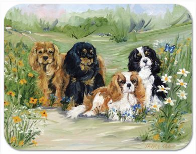 Flower Girls Placemat