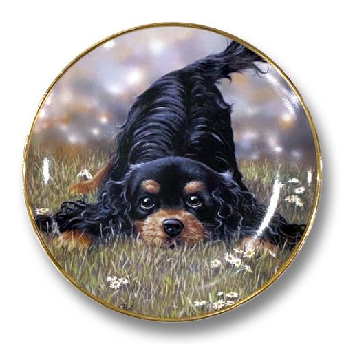 Play Time Paul Doyle Collectable Plate