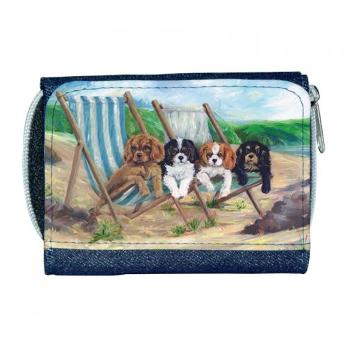 Beach Boys Ladies Denim Purse