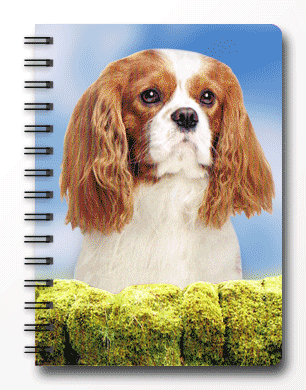 3D Cavalier Notepad