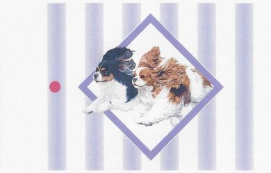 Flying Cavaliers Gift Tag