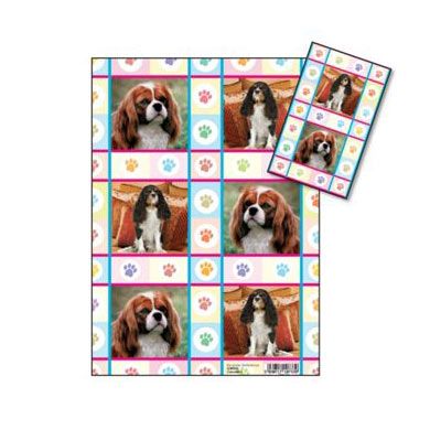 Cavalier Squares Gift Wrap