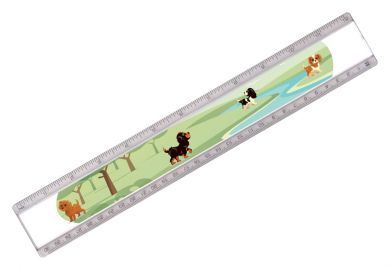 Puppies Rule the Park