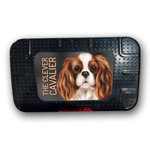 The Clever Cavalier Toolbox