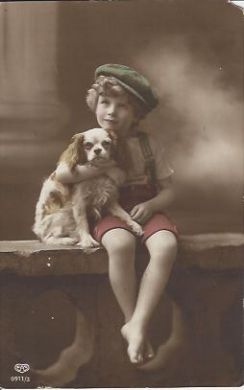 Boy With Spaniel Vintage Postcard
