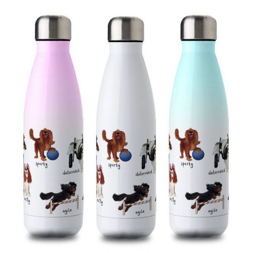 Cavalier Characters Water Bottle